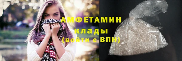 ГАЛЛЮЦИНОГЕННЫЕ ГРИБЫ Богданович