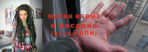 прущие грибы Белокуриха