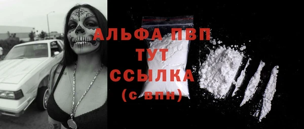 ГАЛЛЮЦИНОГЕННЫЕ ГРИБЫ Богданович