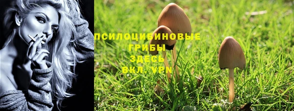 ГАЛЛЮЦИНОГЕННЫЕ ГРИБЫ Богданович