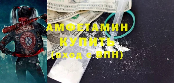 ГАЛЛЮЦИНОГЕННЫЕ ГРИБЫ Богданович