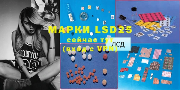 ГАЛЛЮЦИНОГЕННЫЕ ГРИБЫ Богданович