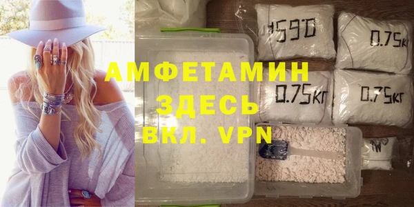 ГАЛЛЮЦИНОГЕННЫЕ ГРИБЫ Богданович
