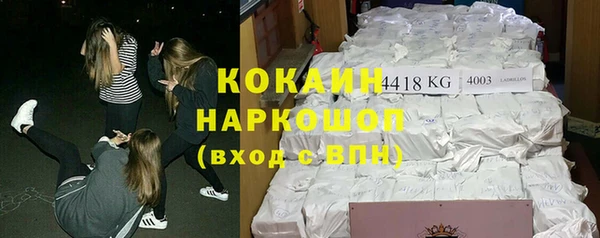 ГАЛЛЮЦИНОГЕННЫЕ ГРИБЫ Богданович