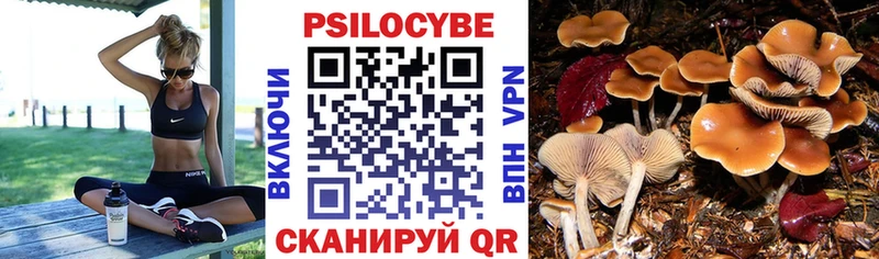 цены   Ефремов  Псилоцибиновые грибы прущие грибы 